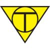 主队
